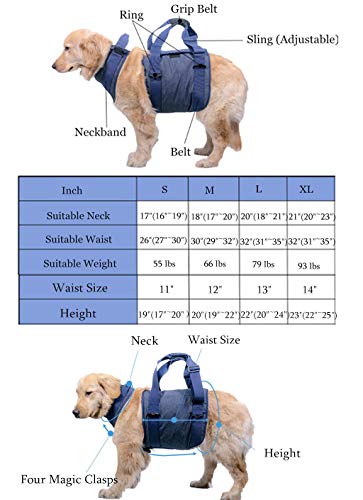 Arnés de soporte para levantamiento de cuerpo completo para perros - Rehabilitación de mascotas Asistencia para caminar Eslingas La correa ayuda al perro a ponerse de pie con lesiones Artritis, (L）