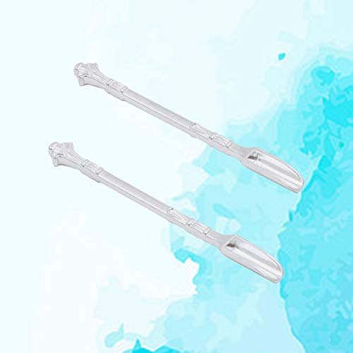 BESPORTBLE 2 Piezas Mini Espátula Cuchara Medicina Cuchara Laboratorio Metal Micro Muestreo Reactivo de Tabaco Cuchara Cuchara para Laboratorio Hogar (Plata)