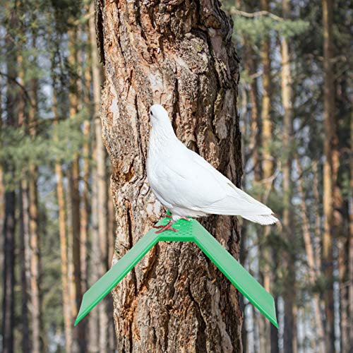 Cabilock 10 Unidades de Soporte de Apoyo de Paloma Marco de Plástico para Aves Percha para Aves Perchas para Palomas Perchas Portátiles Suministros de Aves para Aves Caseras Loro Color