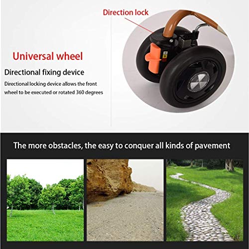 Carro, multifuncional plegable Compras Viejo Vespa puede empujar for sentarse cuatro rondas for ayudar a comprar verduras pequeñas Conveniente viejo carrito de compra carro de regalo bolsos y cestas,