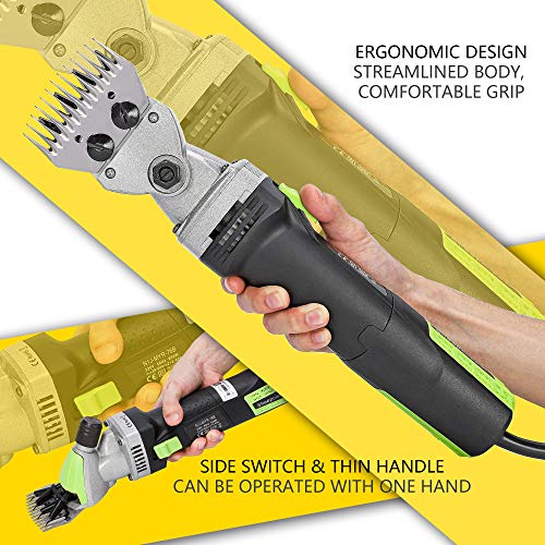 CGOLDENWALL Esquiladora para Oveja 850W 2400RPM Cizalla para Cabra Electrónica para Cabra Alpaca Camello 6 Ajuste de Velocidad - Aceite lubricante Incluido (Cuchilla Curva de 9 Dientes)