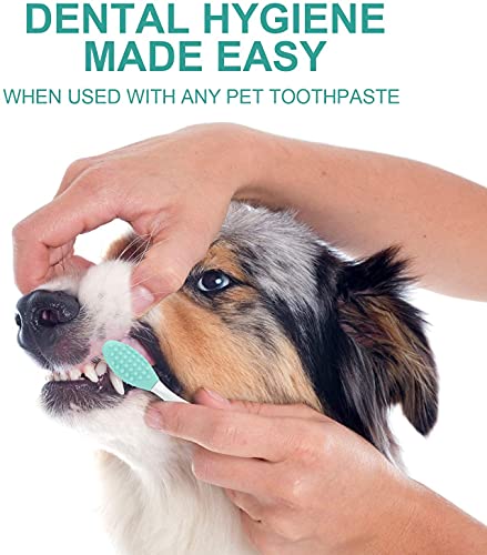 CHUANGOU Juego de 6 cepillos de Dientes para Mascotas con cepillos de Dientes para Perros y Gatos de Mango Largo Curvo para la mayoría de Las Mascotas