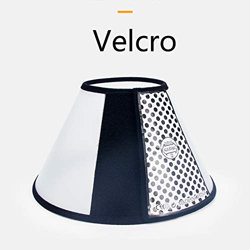 Cono de Gato Cono de Mascotas translúcido, Collar de plástico Ligero Elizabeth, flanco franelette, fácil de Usar, y la Mascota se Puede Usar nuevamente después de la operación (Size : 6#)