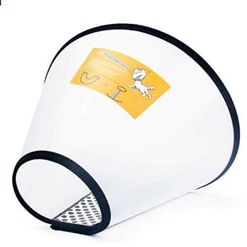 Cono de Gato Cono de Mascotas translúcido, Collar de plástico Ligero Elizabeth, flanco franelette, fácil de Usar, y la Mascota se Puede Usar nuevamente después de la operación (Size : 6#)