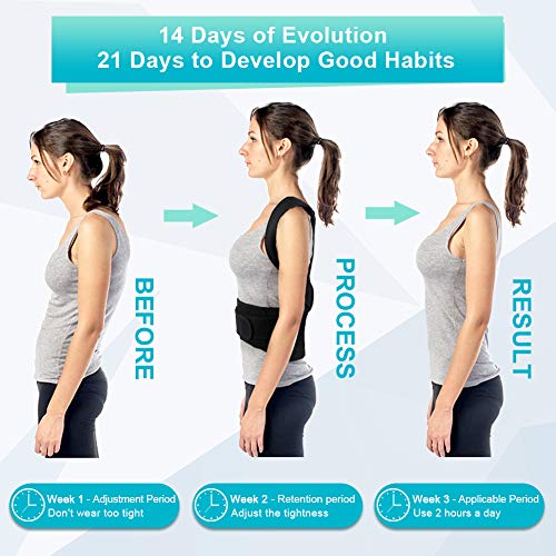 Corrector Postura Espalda Hombre y Mujeres, Férulas para espalda Hombro y Clavícula, Cinturón Corregir Postura Espalda Ajustable, Espalda Recta Soporte, Corrector de Espalda y Postura (L)
