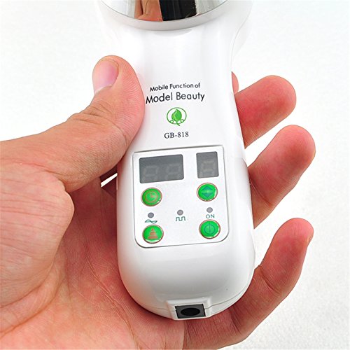 Denshine 1 MHz Ultrasonica Cavitacion Adelgazamiento Masajeador Cuidado de La Piel La Celulitis Maquina Dispositivo Terapeutico De Ultrasonido