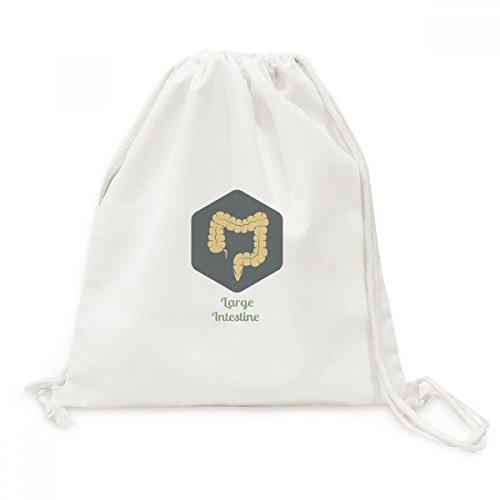 DIYthinker Los órganos del Cuerpo intestino Grueso Recorrido de la Lona del morral del Lazo Bolsas de la Compra