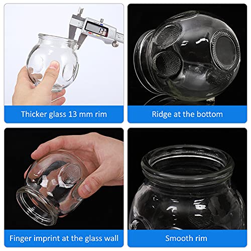 Feibrand Ventosas Cristal Masaje Cupping: 12 Massage Copa Vidrio Grandes Profesional Fisioterapia Cup Set Chinas Anticelulitis Tazas Kit Fuego Succión Terapia Cuerpo Espalda Hijama Ventosaterapia
