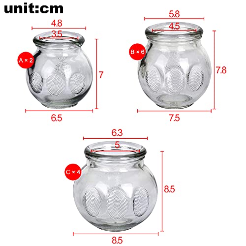Feibrand Ventosas Cristal Masaje Cupping: 12 Massage Copa Vidrio Grandes Profesional Fisioterapia Cup Set Chinas Anticelulitis Tazas Kit Fuego Succión Terapia Cuerpo Espalda Hijama Ventosaterapia