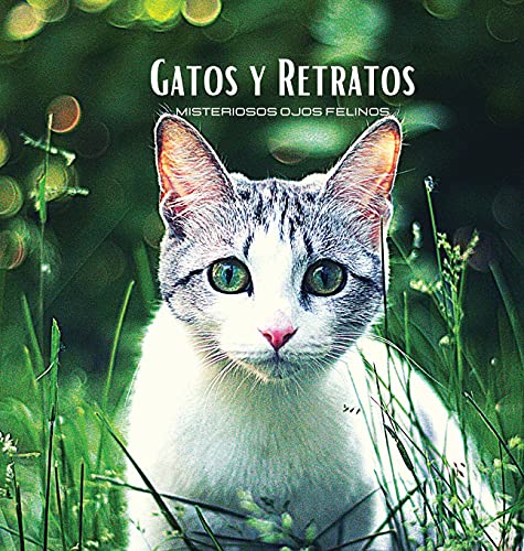 GATOS Y RETRATOS - Misteriosos Ojos Felinos: Álbum de fotos en color con temática de gatos. Idea de regalo para los amantes de los animales y la ... con retratos y primeros planos de gatos.