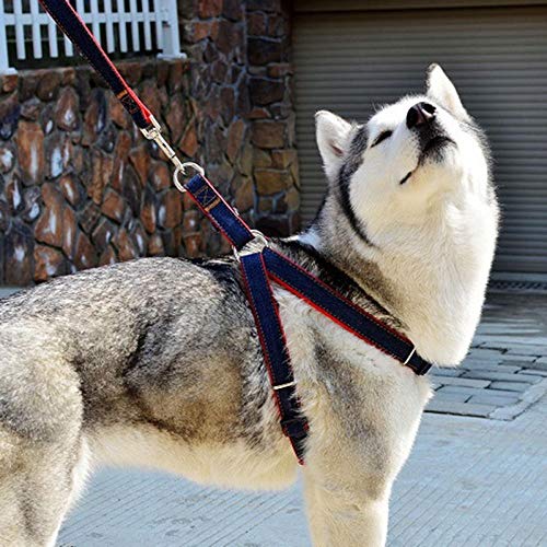 gengxinxin Imbracatura per Cani Di Piccola Taglia E Set Di Guinzagli Corda Di Trazione per Cowboy Corda Di Trazione per Corde Forte Collare per Cani Teddy Pet Forniture Ajustable Arnes Perro
