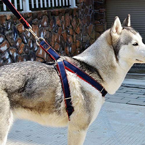 gengxinxin Imbracatura per Cani Di Piccola Taglia E Set Di Guinzagli Corda Di Trazione per Cowboy Corda Di Trazione per Corde Forte Collare per Cani Teddy Pet Forniture Ajustable Arnes Perro
