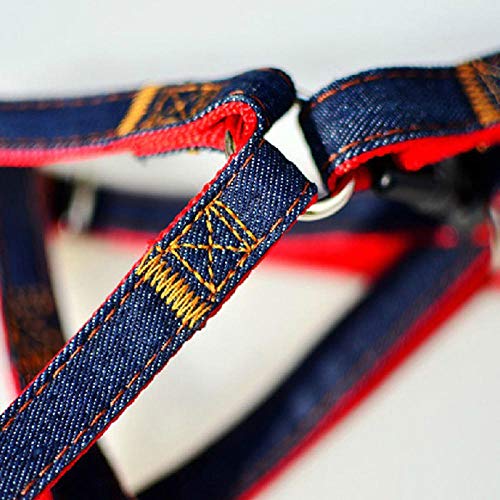 gengxinxin Imbracatura per Cani Di Piccola Taglia E Set Di Guinzagli Corda Di Trazione per Cowboy Corda Di Trazione per Corde Forte Collare per Cani Teddy Pet Forniture Ajustable Arnes Perro