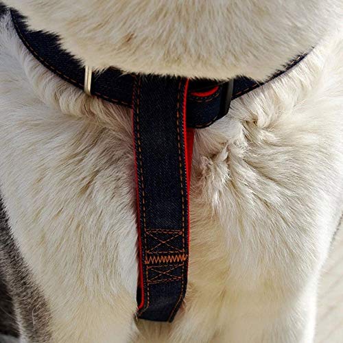 gengxinxin Imbracatura per Cani Di Piccola Taglia E Set Di Guinzagli Corda Di Trazione per Cowboy Corda Di Trazione per Corde Forte Collare per Cani Teddy Pet Forniture Ajustable Arnes Perro
