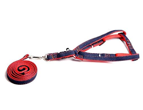 gengxinxin Imbracatura per Cani Di Piccola Taglia E Set Di Guinzagli Corda Di Trazione per Cowboy Corda Di Trazione per Corde Forte Collare per Cani Teddy Pet Forniture Ajustable Arnes Perro
