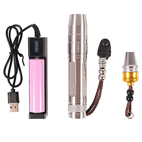 HYRL Linterna de Fisioterapia LED 630660 850nm 9w Control Separado de Tres velocidades Dispositivo de Terapia de luz infrarroja de Mano Antorcha para aliviar el Dolor Corporal