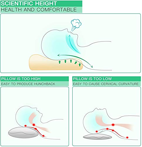 JINTD Almohada para Dormir con Memoria para El Cuello, Almohada De Espuma De Memoria CPAP De Soporte Cervical para Dolor De Cuello con Funda De Almohada Lavable (Size : 2pcs)