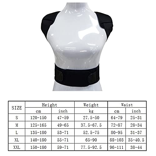 JQAM Corrector de Postura para Hombres y Mujeres, cinturón de corrección de cifosis, Soporte de Espalda Transpirable Ajustable Que previene la cifosis y corrige la Forma del Cuerpo (Tamaño : XXL)