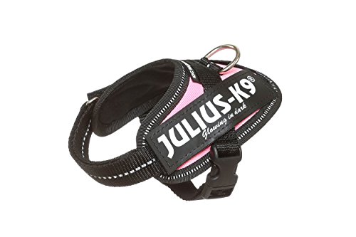 JULIUS-K9 16IDC Power Harness