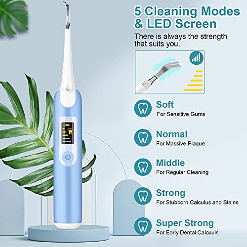 Kit de limpieza dental eléctrico,Limpieza Dental 4in1,Limpieza de los Dientes Bucal Limpiador con 5 Modos de Cepillado, 4 Recambio Cabezales kit
