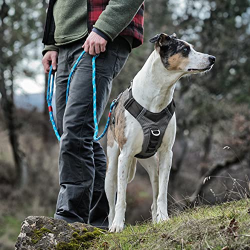 Kurgo Journey Air - Arnés para perros, para Correr, Caminar, Senderismo, Reflectante, para Perros Medianos, Negro/Gris, Talla M