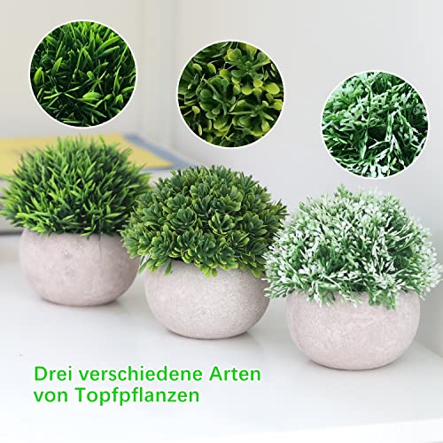 Lavora Zone Mini plantas artificiales 3+1 pieza Set pequeñas plantas falsas vegetales artificiales Topiary Plantas y flores para decoración