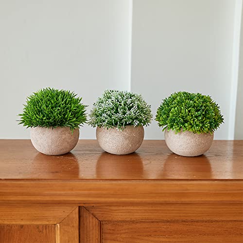 Lavora Zone Mini plantas artificiales 3+1 pieza Set pequeñas plantas falsas vegetales artificiales Topiary Plantas y flores para decoración