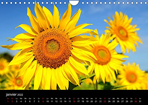 Le Gers (Calendrier mural 2022 DIN A4 horizontal): Paysage et patrimoine du Gers (Calendrier mensuel, 14 Pages )