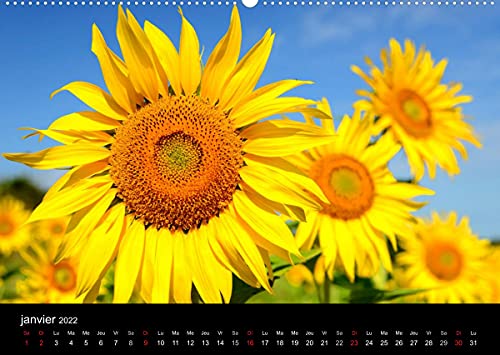 Le Gers (Premium, hochwertiger DIN A2 Wandkalender 2022, Kunstdruck in Hochglanz): Paysage et patrimoine du Gers (Calendrier mensuel, 14 Pages )