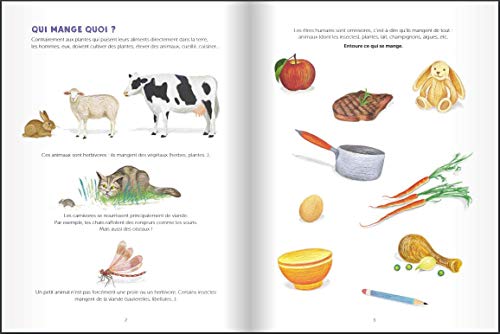 Mon cahier d'observation et d'activités: L'alimentation, de la nature à ton assiette !: 4 (Colibri)