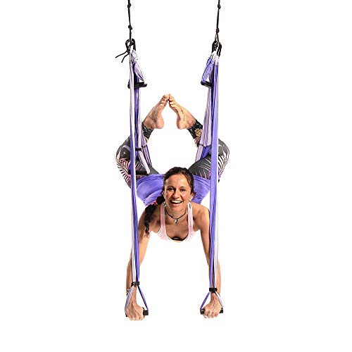MQSS Hamaca de Yoga, Columpio Trapecio Set Yoga Trapeze para Yoga Aéreo, Colgarse y Aliviar el Dolor de Espalda, Accesorios de Montaje incluidos Gradient Purple