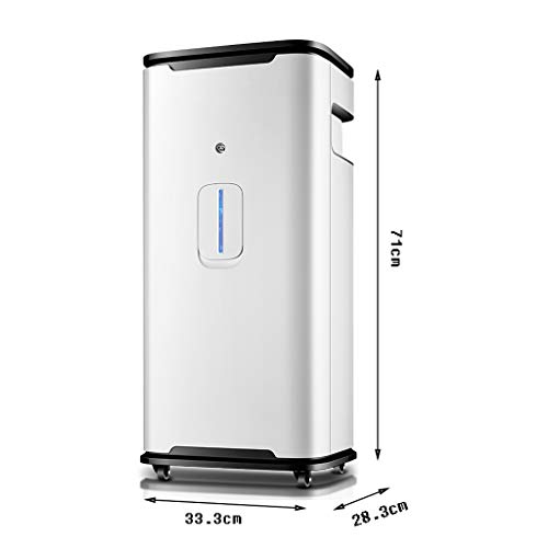 Ping BU Qing Yun Generador de oxígeno, el oxígeno portátil Inicio Alquiler Silencio generador de oxígeno Máquina 3L Terapia de oxigeno (Color : White)