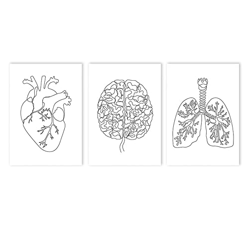 Póster artístico en lienzo de anatomía humana, pintura abstracta de cerebro, corazón, pulmón, pintura de pared en blanco y negro, imágenes artísticas impresas, decoración de la clínica