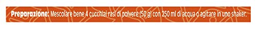 Primavita - Batido sustitutivo de comidas, sabor a vainilla, 500 g (10 raciones)