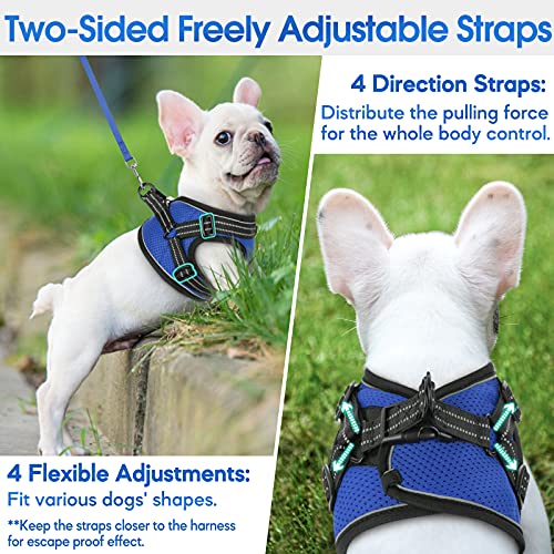 rabbitgoo Arnes Perro Pequeño Antitirones, Arnés Pecho Perros Coche con Lineas Reflecantes Cómodo Transpirable Chaleco Acolchado para Adiesreamiento Correr para Yorkshire, Buldog, Chihuahua (Azul, M)