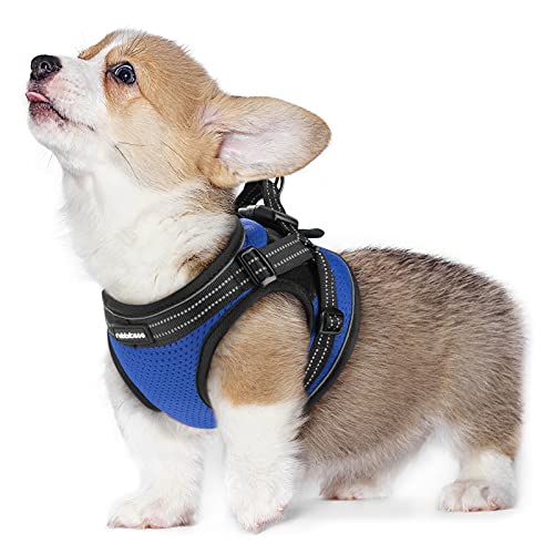 rabbitgoo Arnes Perro Pequeño Antitirones, Arnés Pecho Perros Coche con Lineas Reflecantes Cómodo Transpirable Chaleco Acolchado para Adiesreamiento Correr para Yorkshire, Buldog, Chihuahua (Azul, M)