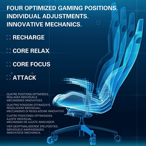 RECARO Exo Platinum Silla Gaming I Silla Gamer ergonómica con Altura Ajustable y apoyabrazos 5D, para máximo Confort al Jugar y en la Oficina I Telas Transpirables I Gaming Chair Black & Black