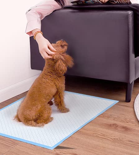 RESTAR Empapadores de Entrenamiento para Perros Gatos Perfumes con Feromonas para Atraer los Cachorros y Simplificar el Entrenamiento Producto Mascotas (60X60CM, 100PCS)