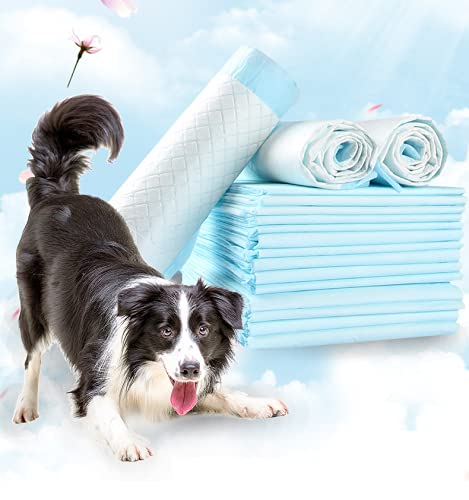 RESTAR Empapadores de Entrenamiento para Perros Gatos Perfumes con Feromonas para Atraer los Cachorros y Simplificar el Entrenamiento Producto Mascotas (60X60CM, 100PCS)