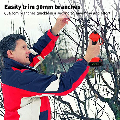 RYUNQ 36 V Tijeras de Podar Eléctricas con Baterías de Litio 2 x 2 Ah, Tijera Podadora Bateria Inalámbricas Profesional, Tijeras Eléctricas para Cortar árboles Frutales, 6-8 Horas de Trabajo