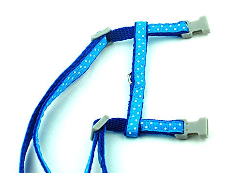 SMALLLEE_Lucky_Store Arnés Correa y Collar Ajustable de Lunares para Gato Correa de Paseo para Perro Pequeño Gatos y Conejos Azul