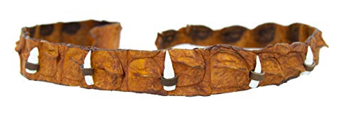 Sombrero Kakadu Echuca original de piel marrón y negro con borde curvado y cordón redondo. cocodrilo Tobacco + dientes. Talla única