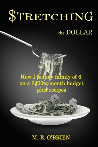 Stretching the Dollar: How I fed my family on $400 a month plus recipes