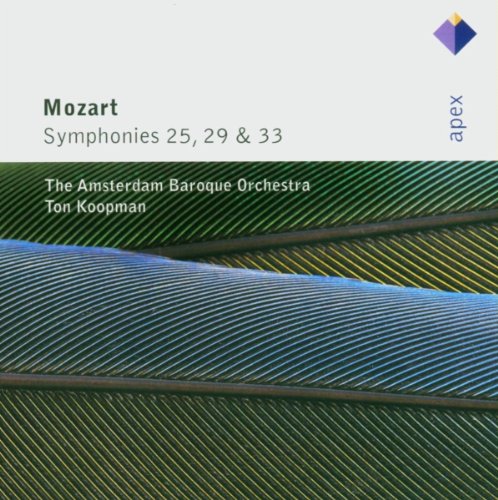 Symphony No. 25 in G Minor, K. 183: I. Allegro con brio