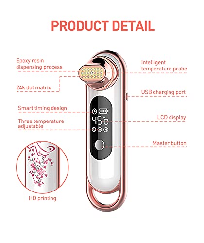 Thermage Home Aparato De Terapia Radiofrecuencia EMS Lifting Facial Reafirmante Eliminación De Arrugas Aparato Belleza Antienvejecimiento Herramienta De Masaje Facial