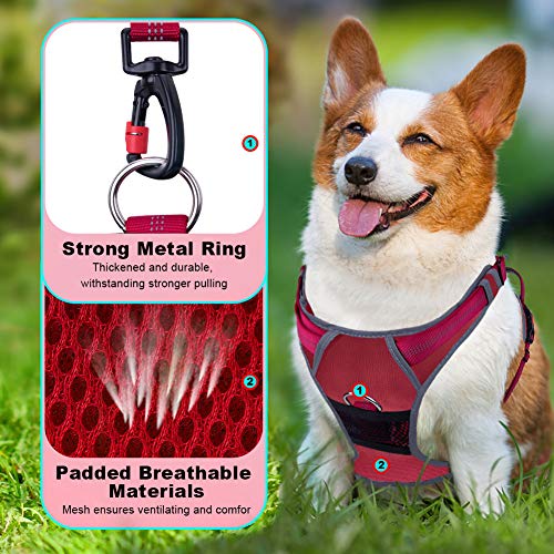 ThinkPet Arnés Deportivo para Perros sin tirones y Transpirable: Chaleco Ajustable de Seguridad Acolchado Reflectante, para Exteriores y Entrenamiento Perros pequeños medianos Grandes