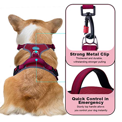 ThinkPet Arnés Deportivo para Perros sin tirones y Transpirable: Chaleco Ajustable de Seguridad Acolchado Reflectante, para Exteriores y Entrenamiento Perros pequeños medianos Grandes