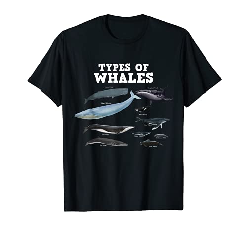 Tipos de ballenas salvar a las ballenas amante ballena jorobada Camiseta