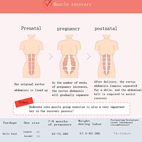 WILLQ Banda para el Vientre Postparto y recuperación de la Cintura Postparto/Cintura/Pelvis Fajas para cinturón Faja Adelgazante Transpirable