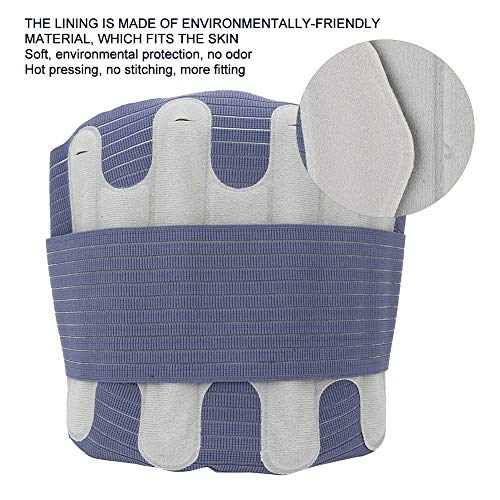 Wytino Soporte Lumbar, Alivio de Refuerzo para la Espalda para el Dolor Lumbar, cinturón de Soporte Ajustable en la Espalda con Soporte Lumbar Reforzado para Hombres y Mujeres(L)